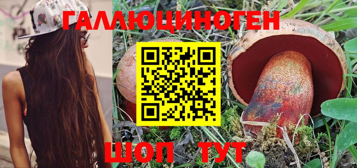 Ярославль  Псилоцибиновые грибы прущие грибы  Вход с VPN 
